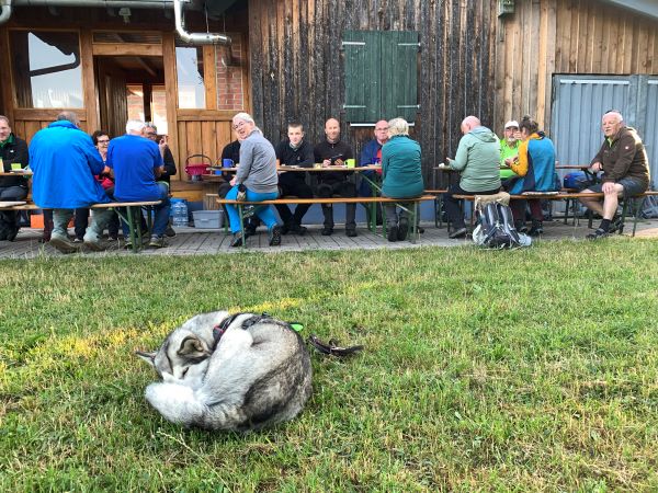 Auch Wanderhund Cuba ist nach 60 Kilometern geschafft