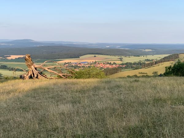 Herrliche Fernsicht auf Friedelshausen und zum Thüringer Wald links der Dolmar