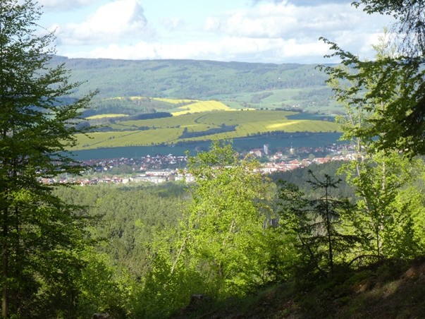 Wagner Mosengeil Weg